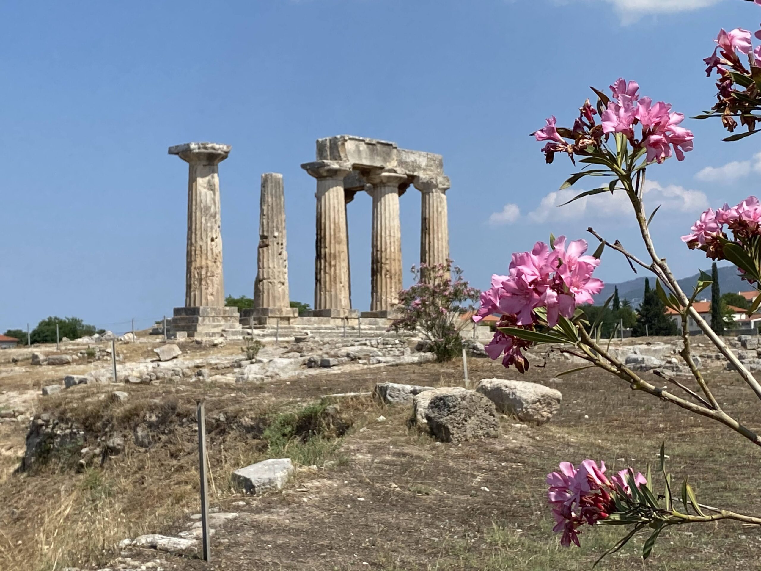 Photo of pink flowers in the foreground with pillars of the ruins in Corinth, Greece in the background.